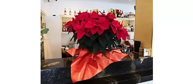 Bar della Pesa