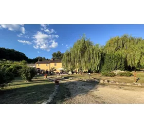 SassoMatto