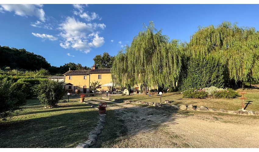SassoMatto