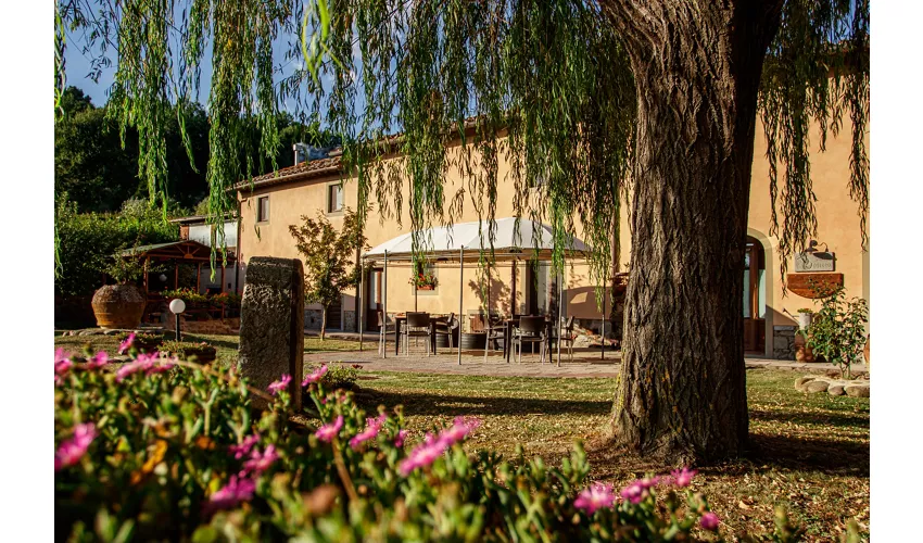 SassoMatto