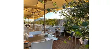 Osteria TreSeiCinque