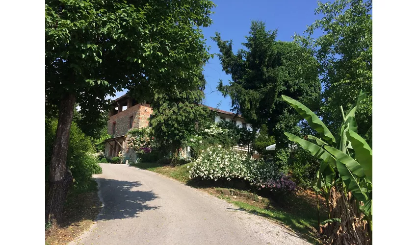 Osteria sul Ronc