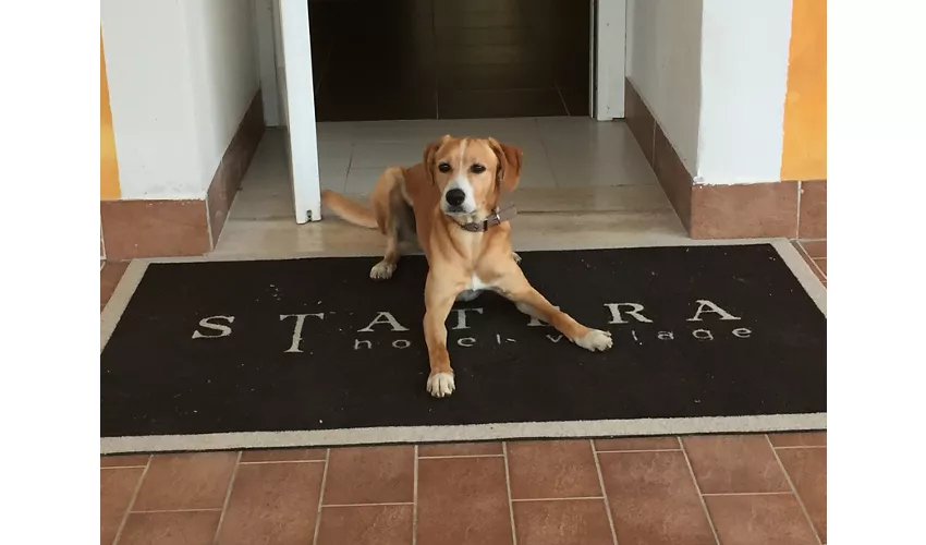 Statera Hotel Village