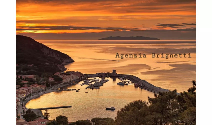 Agenzia Viaggi Brignetti