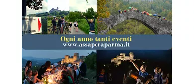 Visite guidate con degustazioni - 3