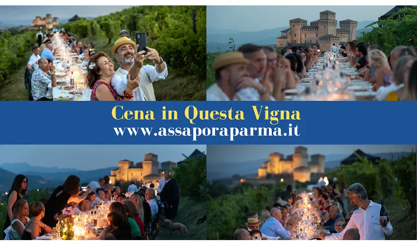Visite guidate con degustazioni - 6