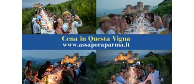 Visite guidate con degustazioni - 6