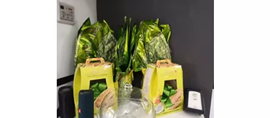 Nono Cafè Imperia