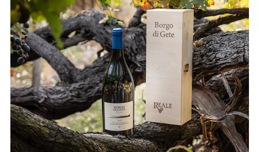Osteria Reale