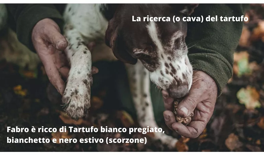 Presentazione Voglie di Bosco Moretti