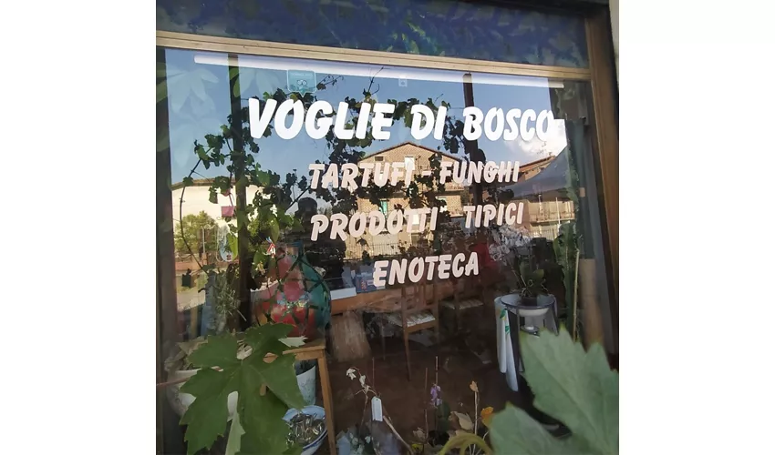 VOGLIE DI BOSCO di Moretti Walter
