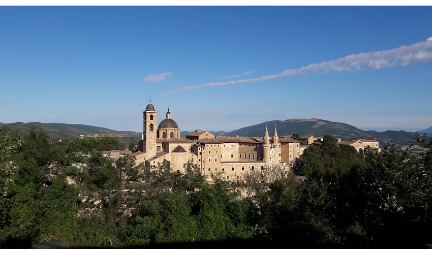 Visite Guidate con Guidopolis