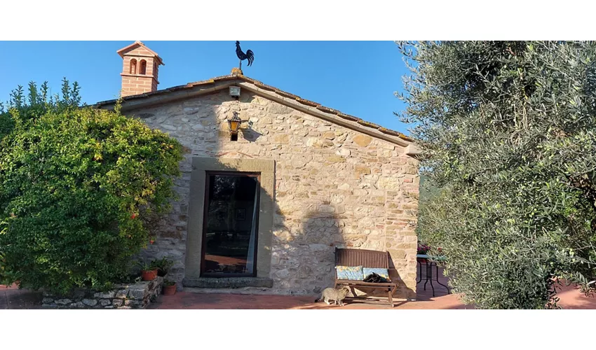 Agriturismo La Scarpaia
