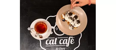 Cat Cafè di Chry