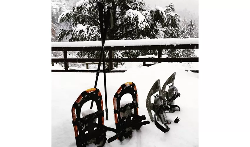 Phoenix Chalet