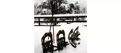 Phoenix Chalet