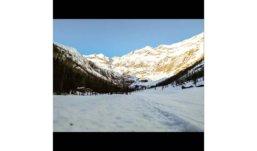 Phoenix Chalet