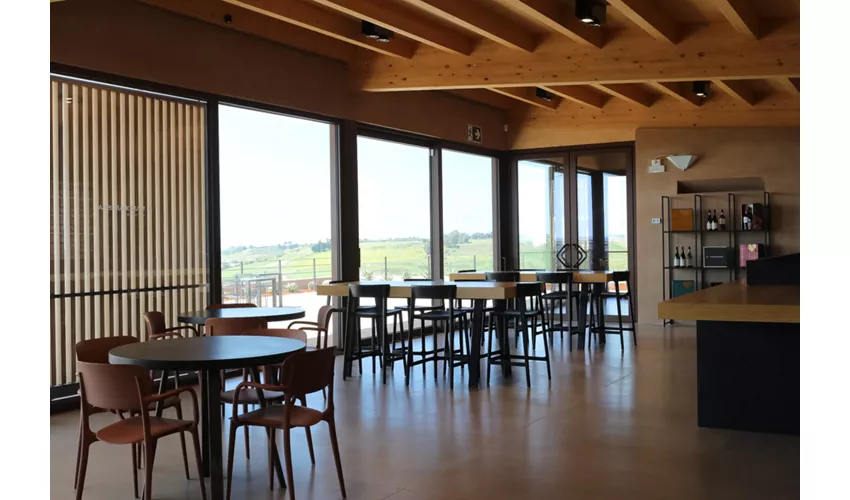 Mandrarossa Winery
