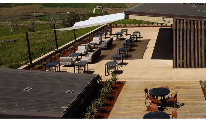 Mandrarossa Winery