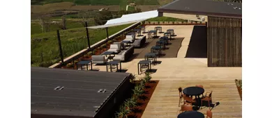 Mandrarossa Winery