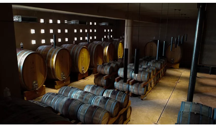 Mandrarossa Winery
