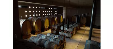 Mandrarossa Winery