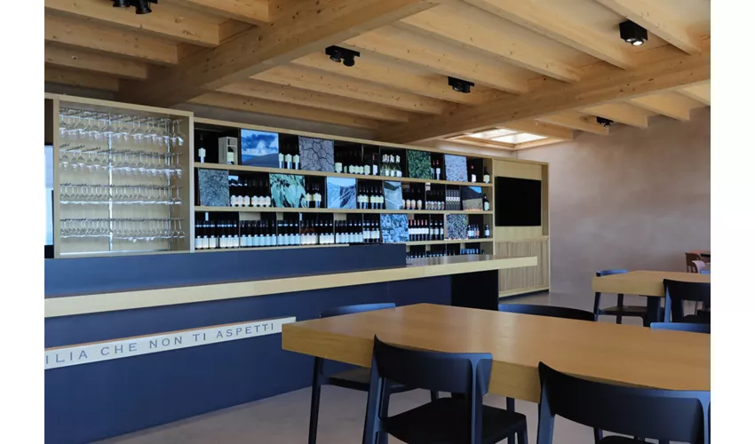 Mandrarossa Winery