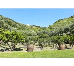 Agriturismo - Ristorante Buranco