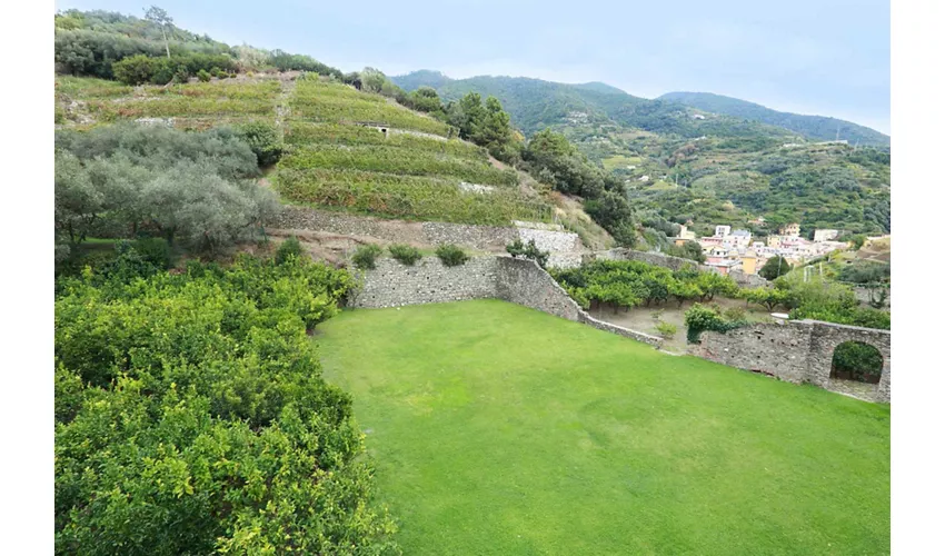 Agriturismo - Ristorante Buranco