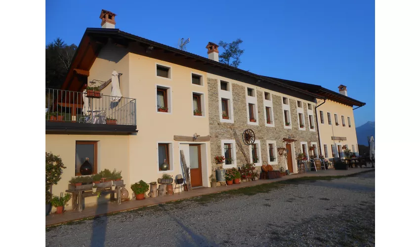 Agriturismo la casa nei boschi