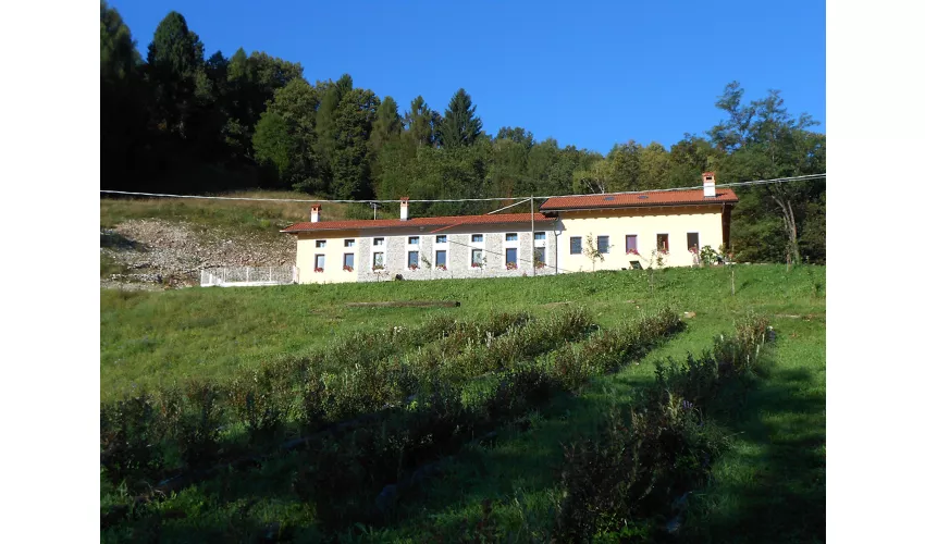 Agriturismo la casa nei boschi