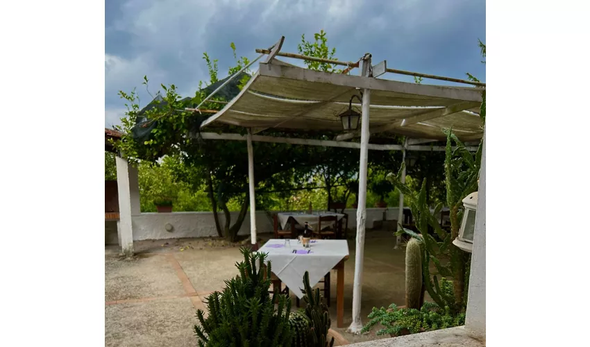 Agriturismo Soriente 
