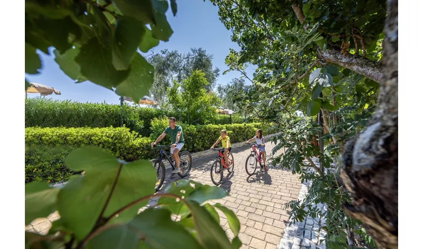 Agriturismo I Tesori Del Sud Con Piscina 