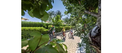 Agriturismo I Tesori Del Sud Con Piscina 