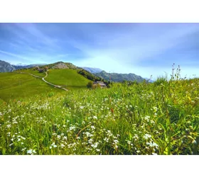 VisitDossena
