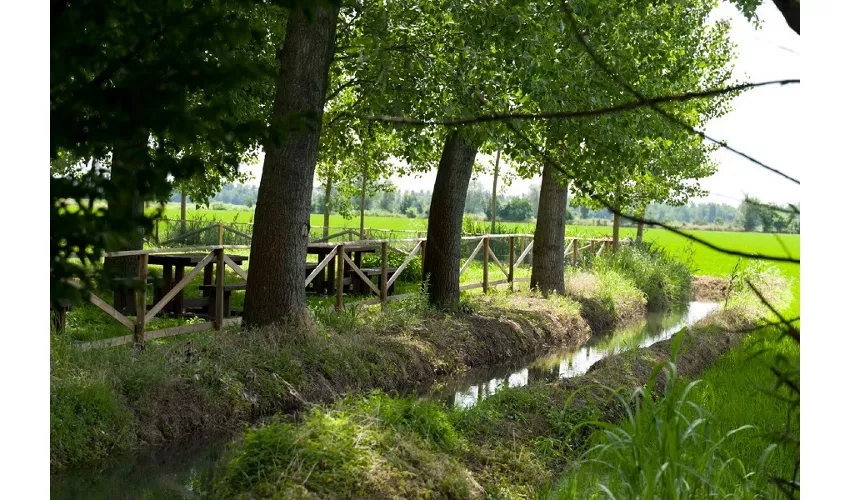 Agriturismo Cascina FIAMBERTA