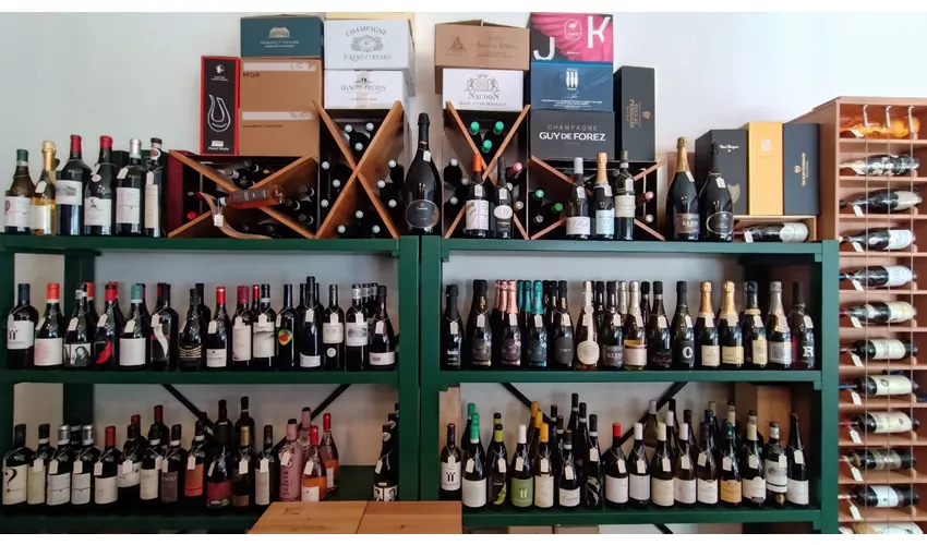 Superbar Wine Food Drink