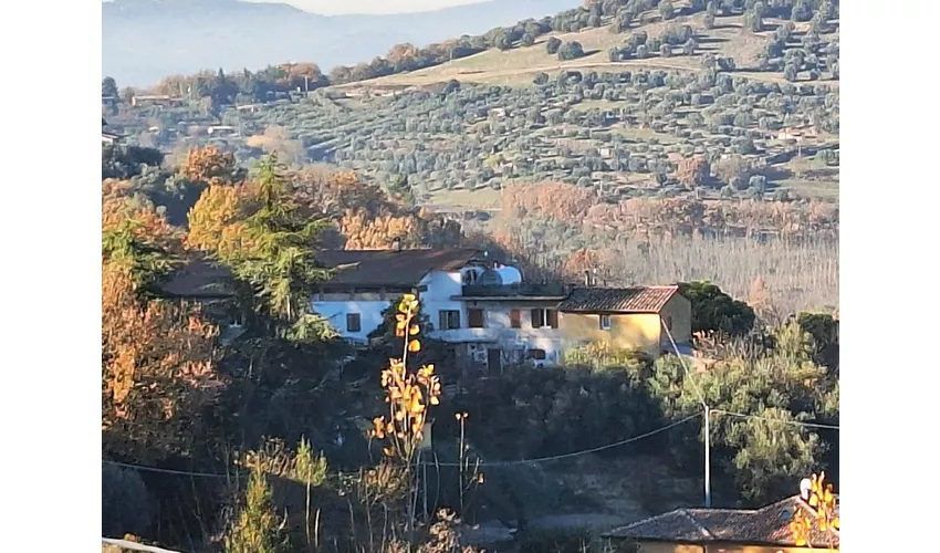  Agricola Baldo&Riccia - Fattoria e Agriturismo