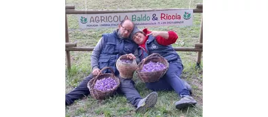  Agricola Baldo&Riccia - Fattoria e Agriturismo