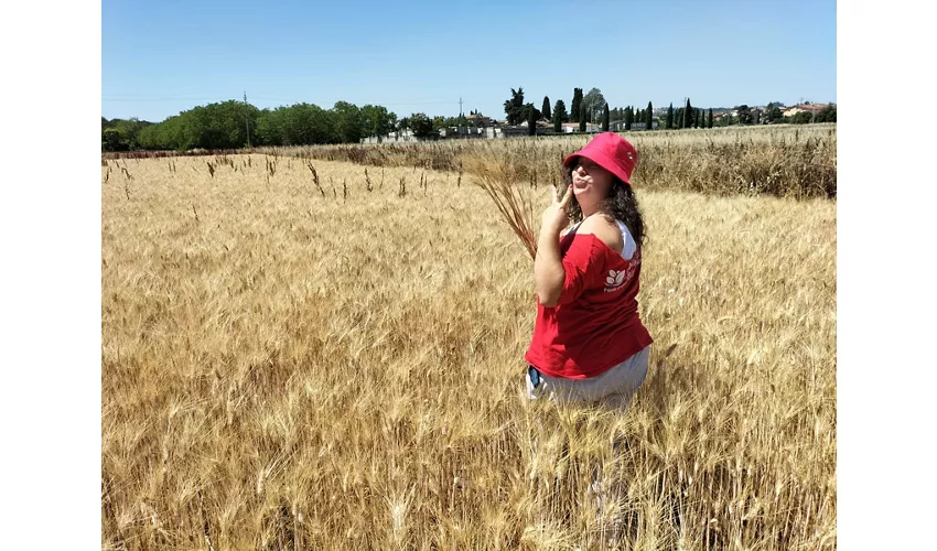  Agricola Baldo&Riccia - Fattoria e Agriturismo