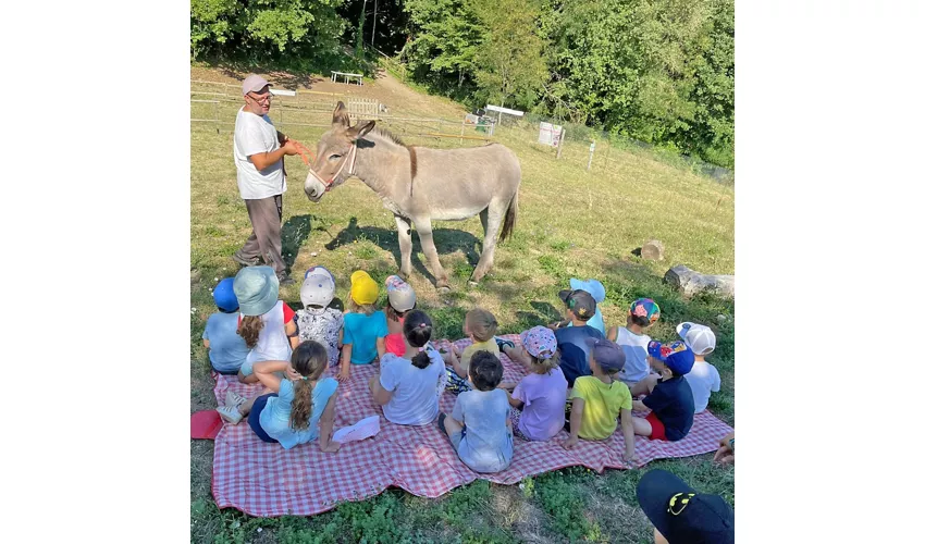  Agricola Baldo&Riccia - Fattoria e Agriturismo