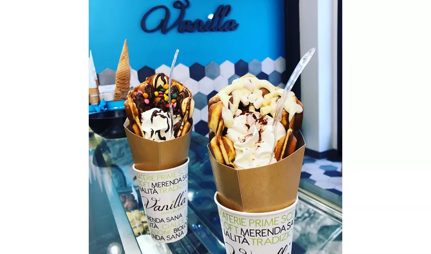 Vanilla Prelibata Gelateria