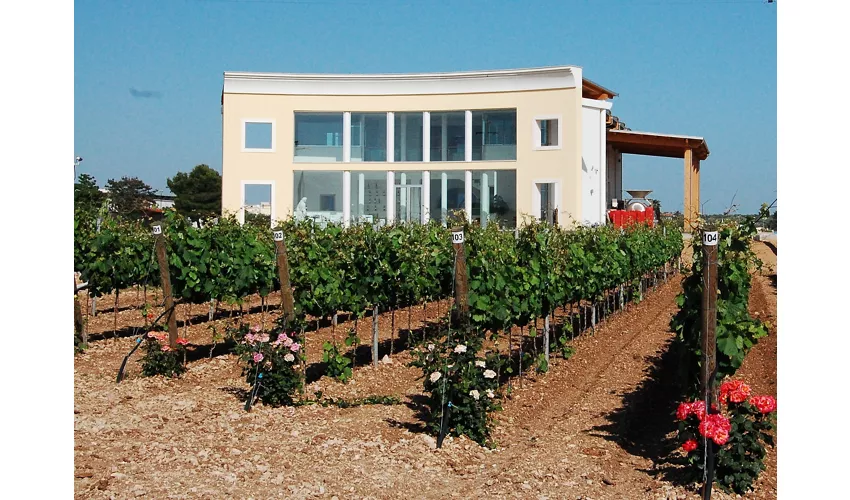 Antica Masseria Jorche