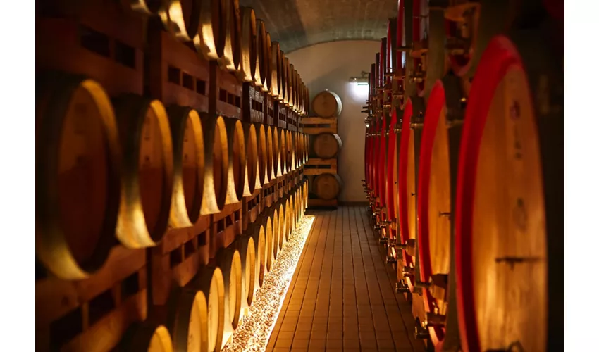 Antica Masseria Jorche