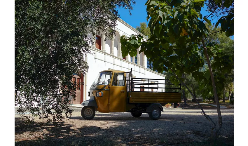 Antica Masseria Jorche