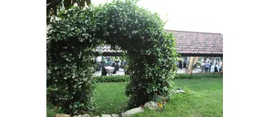 Ristorante Camoretti