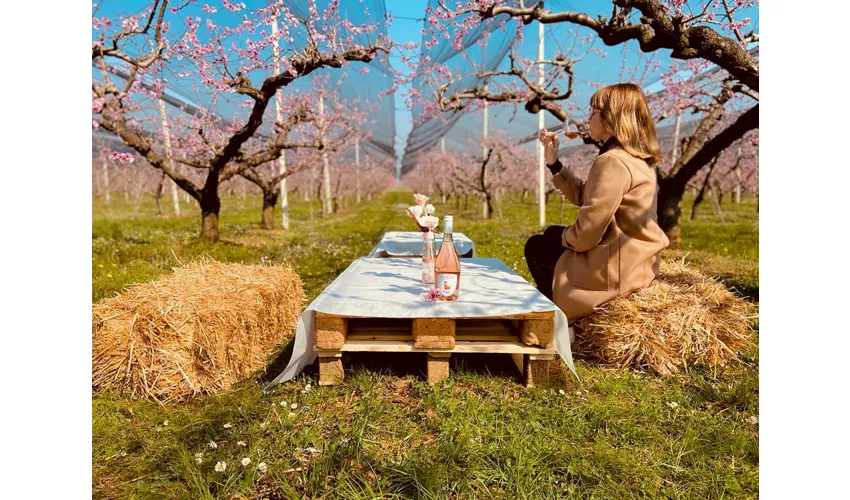 Azienda Agricola Fugolo Gianluca