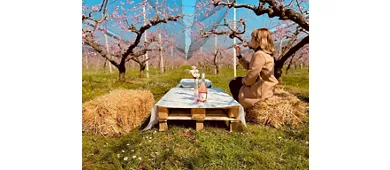 Azienda Agricola Fugolo Gianluca