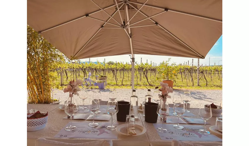 Azienda Agricola Fugolo Gianluca