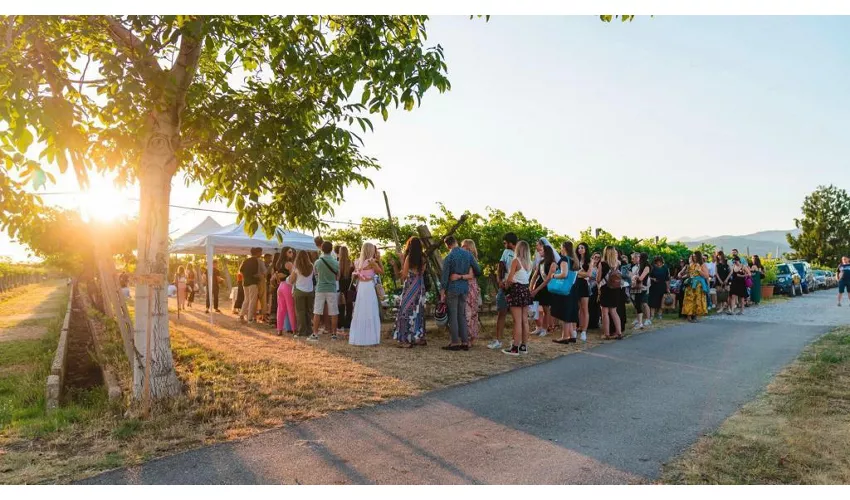 Azienda Agricola Fugolo Gianluca